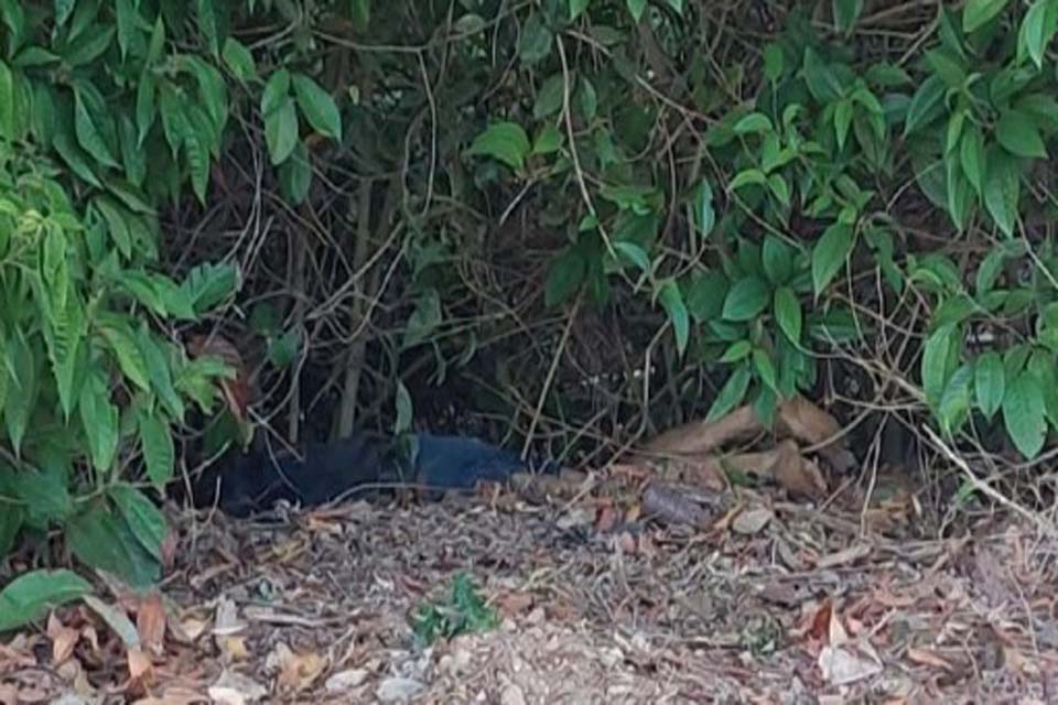 Corpo é encontrado com sinais de violência em meio ao matagal