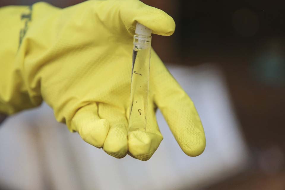 Prefeitura de Vilhena realizará mutirão de limpeza para o combate à dengue na próxima semana