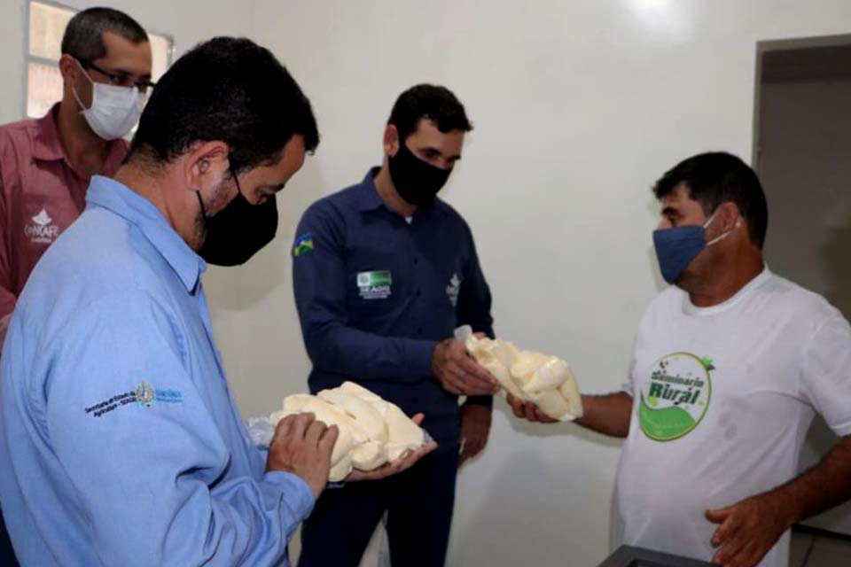 Agroindústria familiar agrega valor à produção com venda de mandioca descascada e congelada 