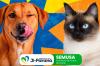  Nova Londrina: neste sábado, dia 24 de outubro tem vacinação para cães e gatos