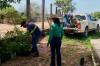 Prefeitura promove ação de arborização e paisagismo no Distrito do Urucumacuã 