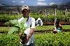 Em Rondônia, órgãos públicos já contrataram mais de R$ 8,5 milhões de microempreendedores e agricultores familiares pelo Contrata+Brasil