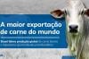 Brasil lidera produção global de carne bovina e impulsiona oportunidades para Rondônia