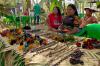 Agricultura indígena e Etnoturismo conquistam espaço de destaque na 13ª Rondônia Rural Show