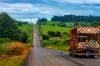 RO-135 recebe obras de sinalização horizontal entre Alta Floresta e Vila Marcão