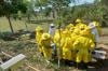 Dia Mundial das Abelhas terá ação de conscientização ambiental para estudantes