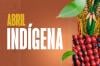 Abril Indígena: Justiça Federal garante acesso integral à saúde ao povo Guarasugwe em Rondônia