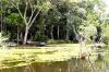 Povos da floresta em Rondônia têm R$ 2,9 milhões em créditos produtivos disponíveis pelo Incra