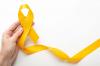 Caminhada em Prol da Vida encerra programação do Setembro Amarelo nesta quarta-feira (30)