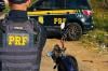 Traficante foge e deixa motociclista ser preso com drogas na BR-364
