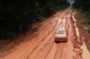 Licitação para asfaltamento da BR-319 é anunciada pelo DNIT; estrada liga Rondônia ao Amazonas