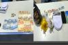 Cunhados são presos acusados de comandar duas bocas de fumo
