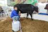 Expocol 2026 reforça parceria entre ASCCOL e Prefeitura para impulsionar agronegócio e pequenos negócios