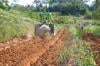 Dia do Agricultor celebra quem transforma a terra em alimento e fortalece o desenvolvimento de Porto Velho