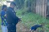 Homem é amarrado e executado com tiro em Estrada na zona leste