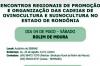 Encontro regional sobre ovinocultura e suinocultura acontecerá dia 4 de maio em Rolim de Moura