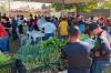 Cadastro Único Itinerante: 120 famílias estão são atendidas por meio do Banco de Alimentos
