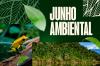 MPF obtém decisão que obriga estado de Rondônia a proteger antigo território da Floresta Nacional do Bom Futuro