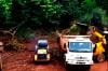 Prefeitura de Espigão do Oeste realiza ações de controle ambiental no município