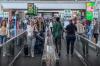 Aviação doméstica brasileira tem a maior movimentação em 26 anos
