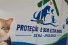 Feira de adoção anima acontece todo o primeiro sábado de cada mês no Centro de Bem-Estar Animal 