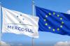 Exportações agrícolas da Argentina para a União Europeia disparam após acordo comercial com o Mercosul
