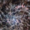 'Ossos cósmicos': James Webb revela detalhes inéditos da galáxia IC 5332