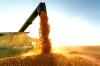 Entenda mudança no mapa que tirou Sorriso do topo da produção agrícola