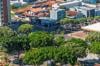 Planejar, plantar e cuidar: Prefeitura lança cartilha de arborização urbana