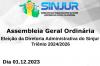 Assembleia Geral Ordinária – Eleição da Diretoria Administrativa do SINJUR – Triênio 2024/2026