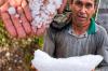 Temporal com granizo destelha casas e derruba árvores em Alto Alegre dos Parecis