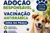 Prefeitura realizará uma ação especial de adoção responsável de cães e gatos e vacinação antirrábica gratuita