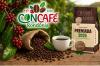 Concafé Rondônia 2026 abre inscrições para o 11º Concurso de Qualidade e Sustentabilidade do Café