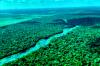 No Dia da Amazônia, campanha pede que eleitor vote por floresta em pé