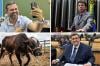 Scheid reúne 600 lideranças; raiva bovina é grave; Cassol ainda fora; e Tezzari escapa