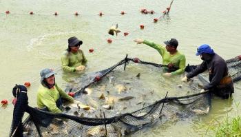 Fórum debate mercado, inovação e fortalecimento dos pequenos negócios em Rondônia