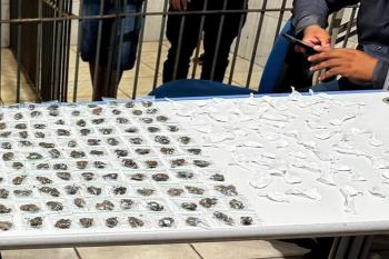 Guarnição flagra bando com quase 200 porções de drogas na zona leste