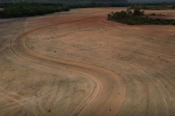 Fim da Moratória da Soja pode ampliar destruição da Amazônia