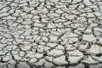 Estiagem: quinze cidades têm situação de emergência decretada