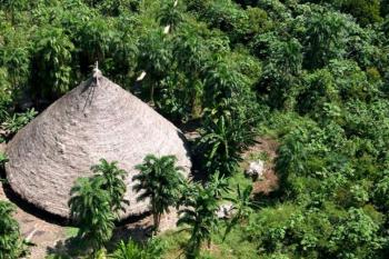 MPF processa Banco do Brasil por financiar atividade ilegal em terra indígena de Rondônia