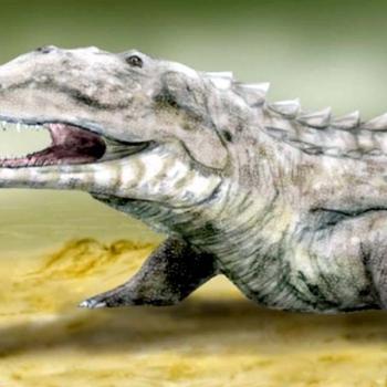 Nova espécie de dinossauro é encontrada por paleontólogos na Groenlândia