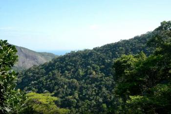 Plano mobiliza R$ 500 bi para financiamento sustentável no Brasil