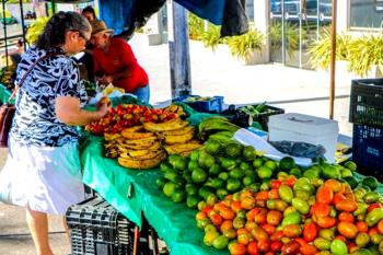 Semagri apresenta link de inscrições para Feira da Roça Itinerante