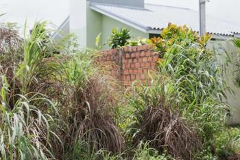 Prefeitura intensifica fiscalização de lotes sujos e alerta para multas que podem ultrapassar R$ 2 mil