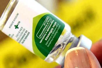 Opas alerta para alta de casos de gripe K no Hemisfério Sul