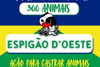 Prefeitura informa que vagas para a castração gratuita foram totalmente preenchidas