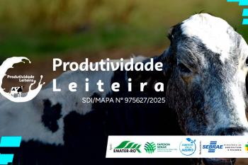 Sebrae em Rondônia lança Projeto de Produtividade Leiteira em Ariquemes