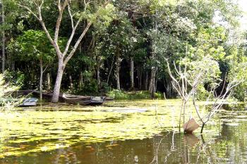 Povos da floresta em Rondônia têm R$ 2,9 milhões em créditos produtivos disponíveis pelo Incra