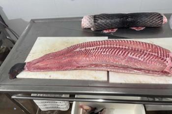 Regularização abre portas para agroindústrias no município