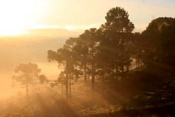 Brasil cria plano para emergências na saúde por mudanças climáticas